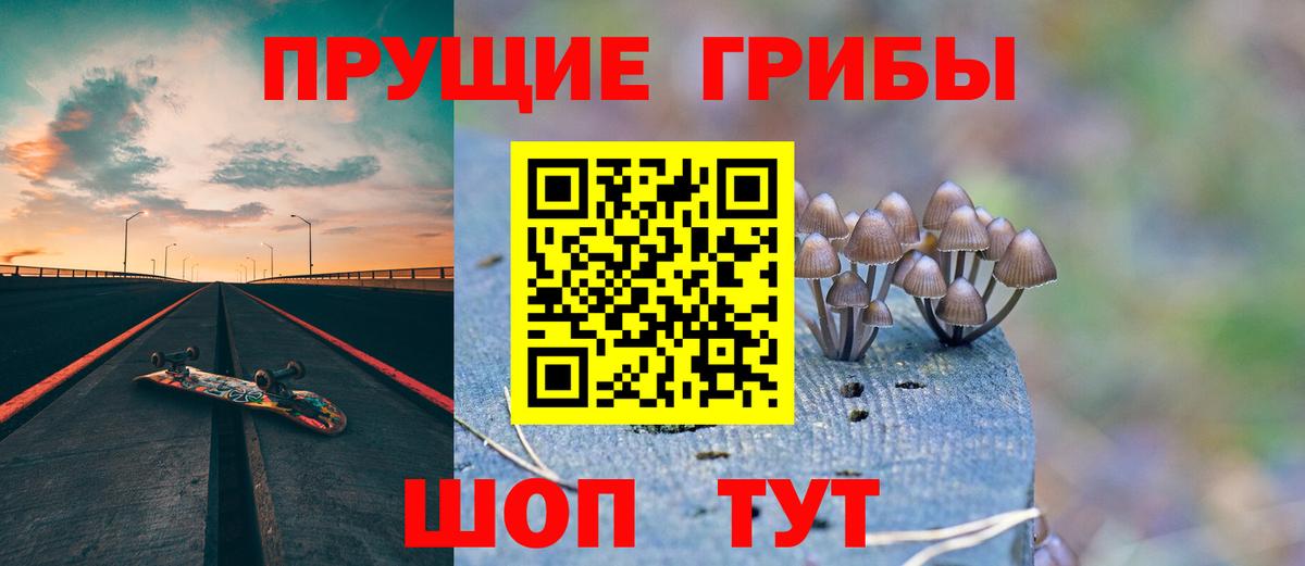 Псилоцибиновые грибы MAGIC MUSHROOMS Чайковский